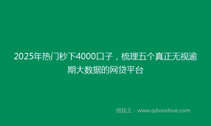 2025年热门秒下4000口子,梳理五个真正无视逾期大数据的网贷平台