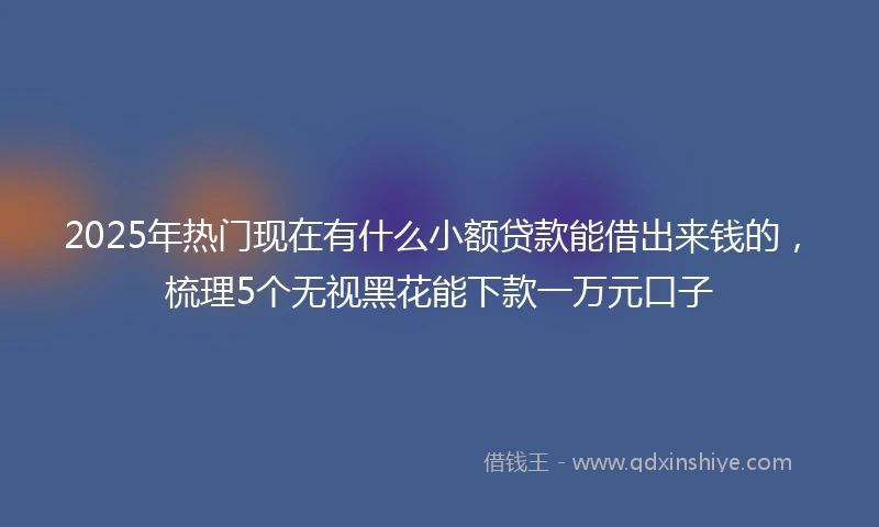 2025年热门现在有什么小额贷款能借出来钱的，梳理5个无视黑花能下款一万元口子