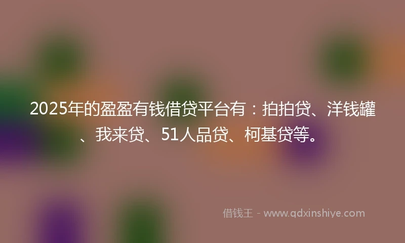 2025年的盈盈有钱借贷平台有：拍拍贷、洋钱罐、我来贷、51人品贷、柯基贷等。