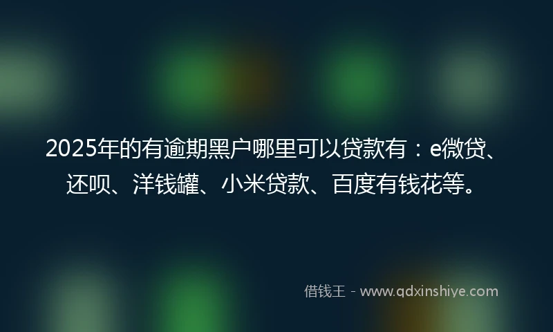 2025年的有逾期黑户哪里可以贷款有：e微贷、还呗、洋钱罐、小米贷款、百度有钱花等。