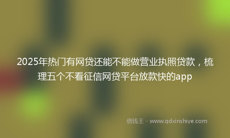 2025年热门有网贷还能不能做营业执照贷款，梳理五个不看征信网贷平台放款快的app