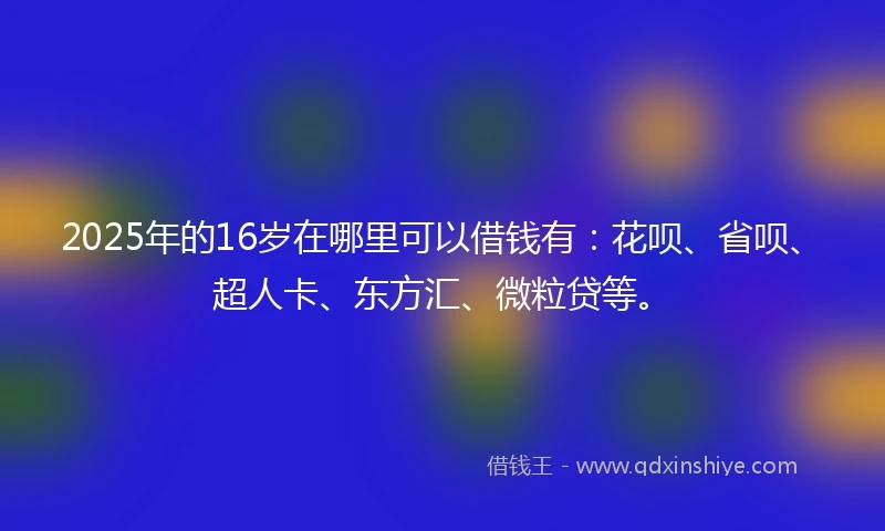 2025年的16岁在哪里可以借钱有：花呗、省呗、超人卡、东方汇、微粒贷等。