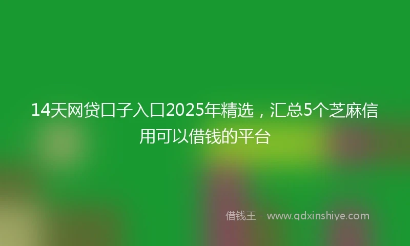 14天网贷口子入口2025年精选，汇总5个芝麻信用可以借钱的平台