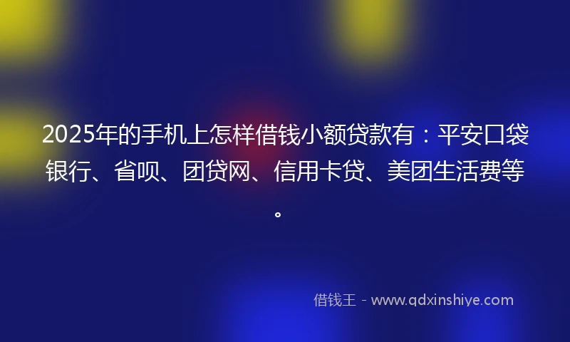 2025年的手机上怎样借钱小额贷款有：平安口袋银行、省呗、团贷网、信用卡贷、美团生活费等。
