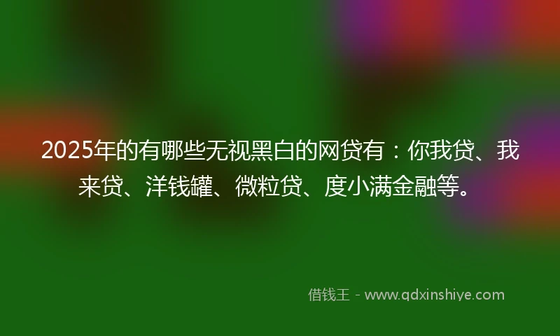 2025年的有哪些无视黑白的网贷有：你我贷、我来贷、洋钱罐、微粒贷、度小满金融等。