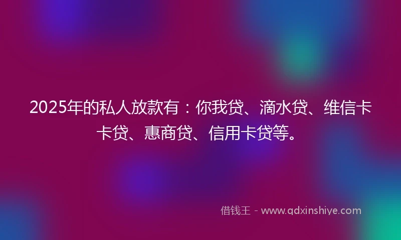 2025年的私人放款有：你我贷、滴水贷、维信卡卡贷、惠商贷、信用卡贷等。
