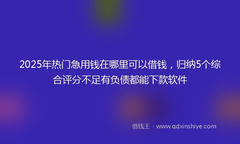 2025年热门急用钱在哪里可以借钱，归纳5个综合评分不足有负债都能下款软件