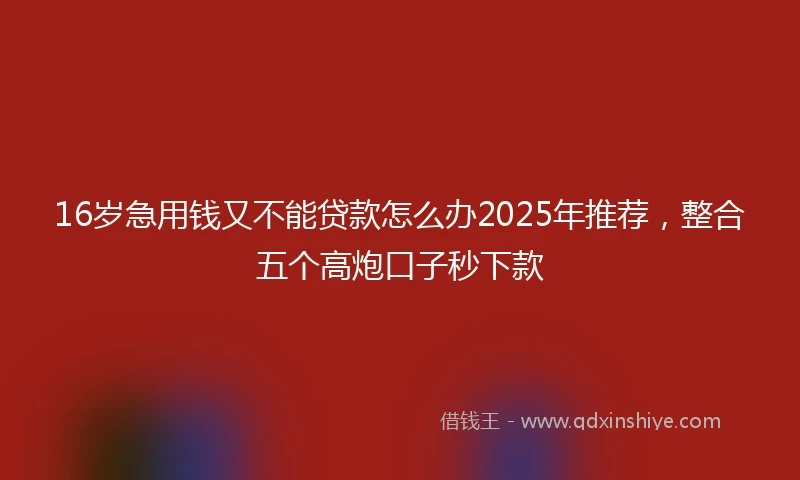 16岁急用钱又不能贷款怎么办2025年推荐，整合五个高炮口子秒下款