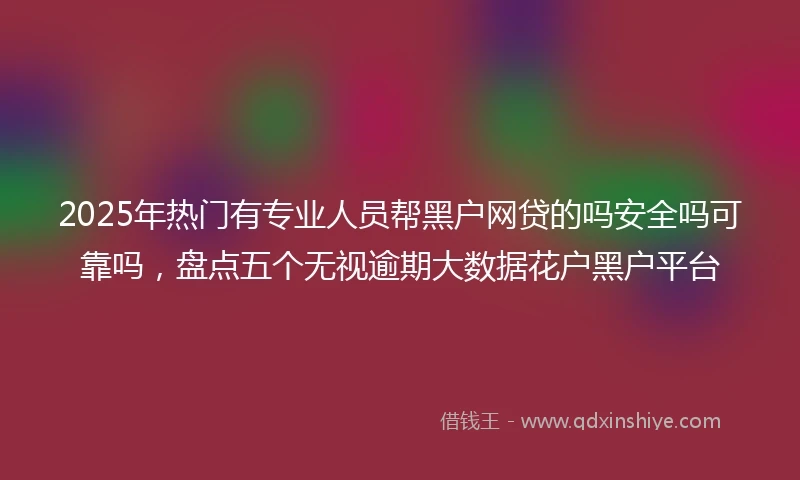 2025年热门有专业人员帮黑户网贷的吗安全吗可靠吗，盘点五个无视逾期大数据花户黑户平台