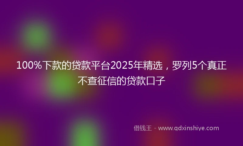 100%下款的贷款平台2025年精选，罗列5个真正不查征信的贷款口子