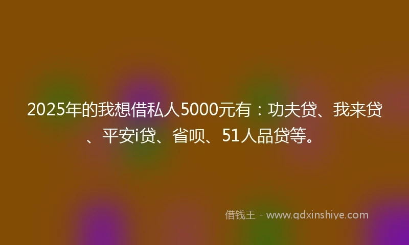 2025年的我想借私人5000元有：功夫贷、我来贷、平安i贷、省呗、51人品贷等。