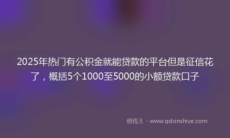 2025年热门有公积金就能贷款的平台但是征信花了，概括5个1000至5000的小额贷款口子