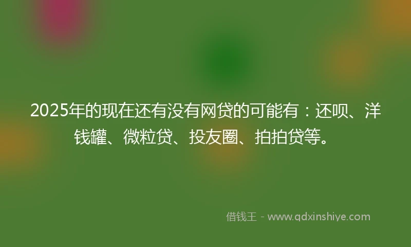 2025年的现在还有没有网贷的可能有：还呗、洋钱罐、微粒贷、投友圈、拍拍贷等。