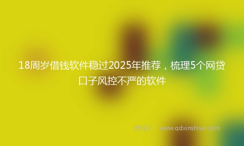 18周岁借钱软件稳过2025年推荐，梳理5个网贷口子风控不严的软件