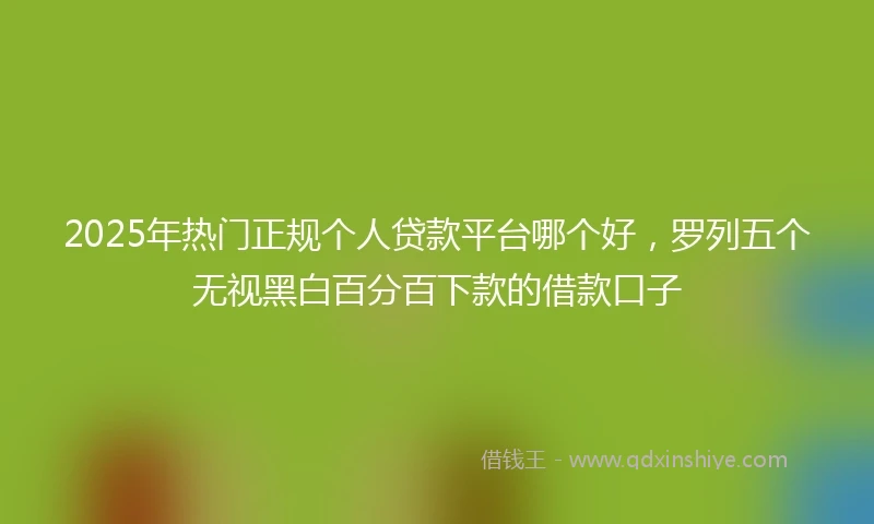2025年热门正规个人贷款平台哪个好，罗列五个无视黑白百分百下款的借款口子