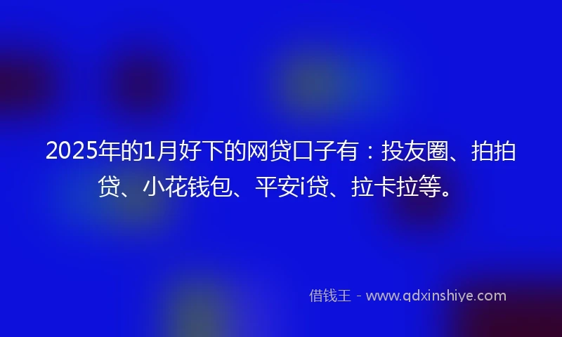 2025年的1月好下的网贷口子有：投友圈、拍拍贷、小花钱包、平安i贷、拉卡拉等。
