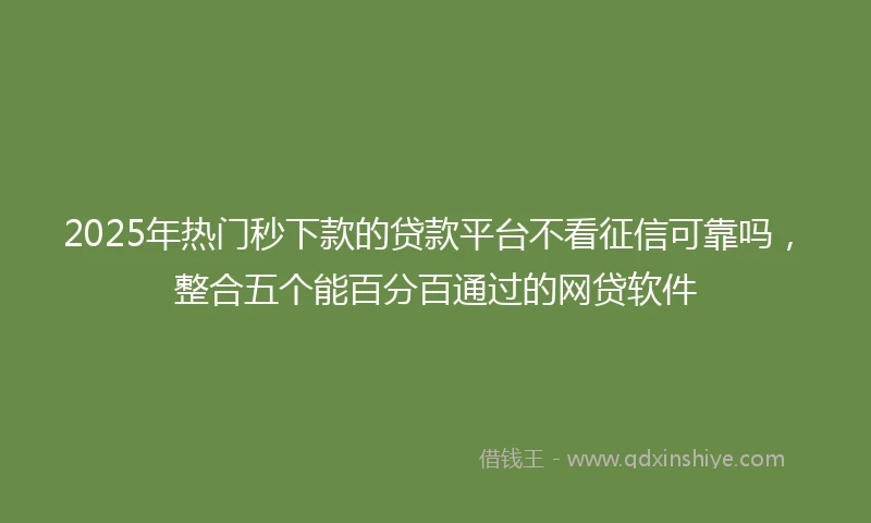 2025年热门秒下款的贷款平台不看征信可靠吗，整合五个能百分百通过的网贷软件