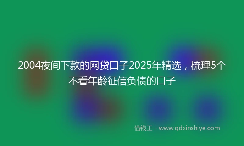 2004夜间下款的网贷口子2025年精选，梳理5个不看年龄征信负债的口子