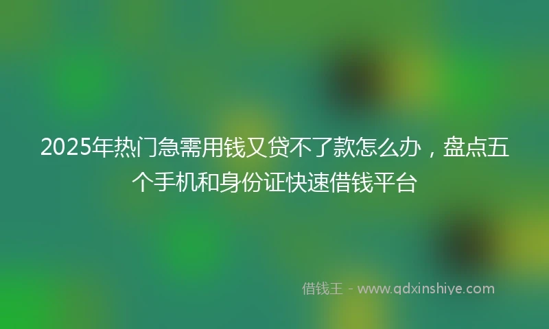 2025年热门急需用钱又贷不了款怎么办，盘点五个手机和身份证快速借钱平台
