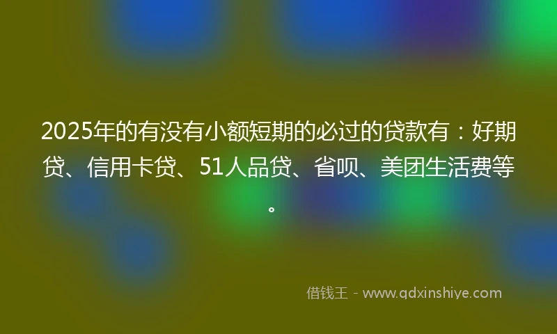 2025年的有没有小额短期的必过的贷款有：好期贷、信用卡贷、51人品贷、省呗、美团生活费等。
