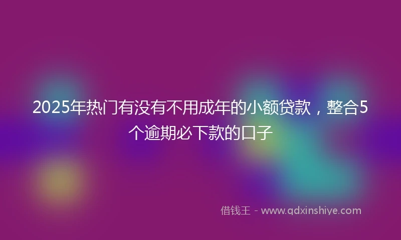 2025年热门有没有不用成年的小额贷款，整合5个逾期必下款的口子