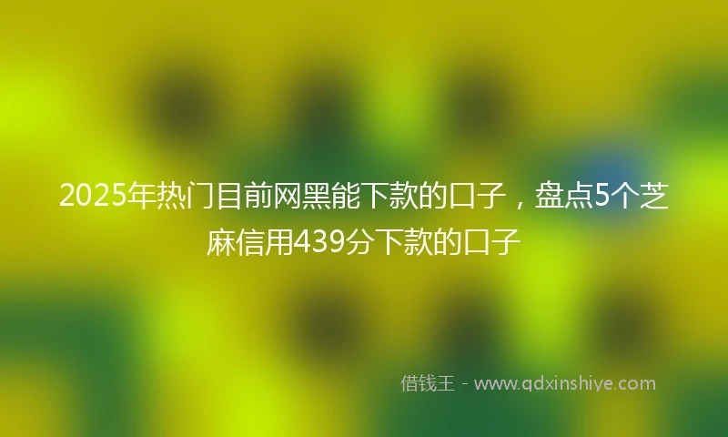 2025年热门目前网黑能下款的口子，盘点5个芝麻信用439分下款的口子