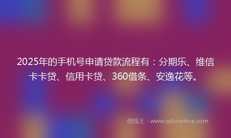 2025年的手机号申请贷款流程有：分期乐、维信卡卡贷、信用卡贷、360借条、安逸花等。