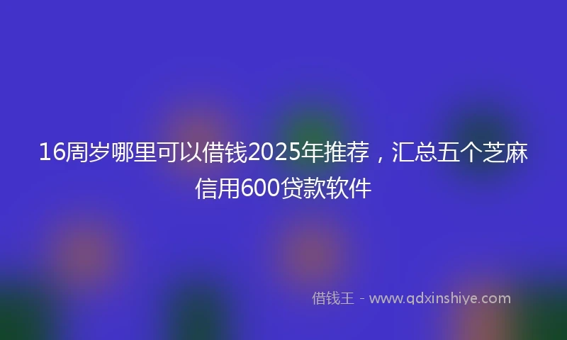 16周岁哪里可以借钱2025年推荐，汇总五个芝麻信用600贷款软件