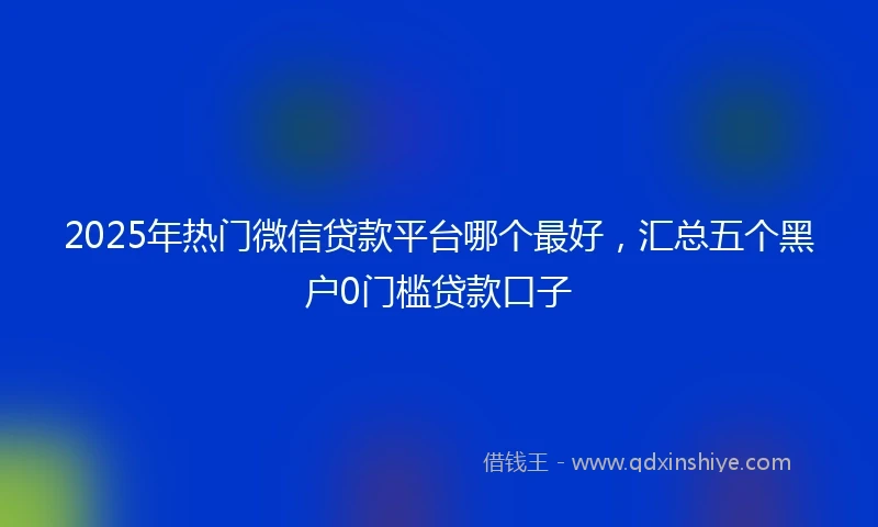 2025年热门微信贷款平台哪个最好，汇总五个黑户0门槛贷款口子