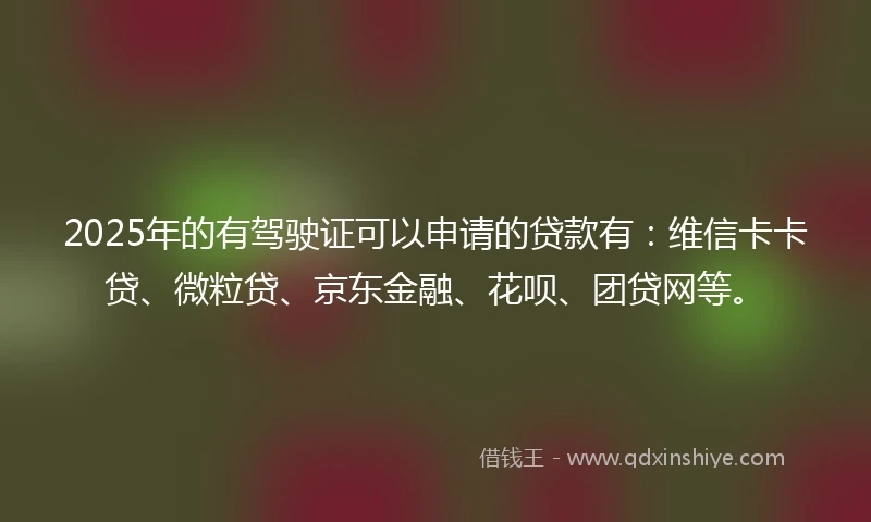 2025年的有驾驶证可以申请的贷款有：维信卡卡贷、微粒贷、京东金融、花呗、团贷网等。