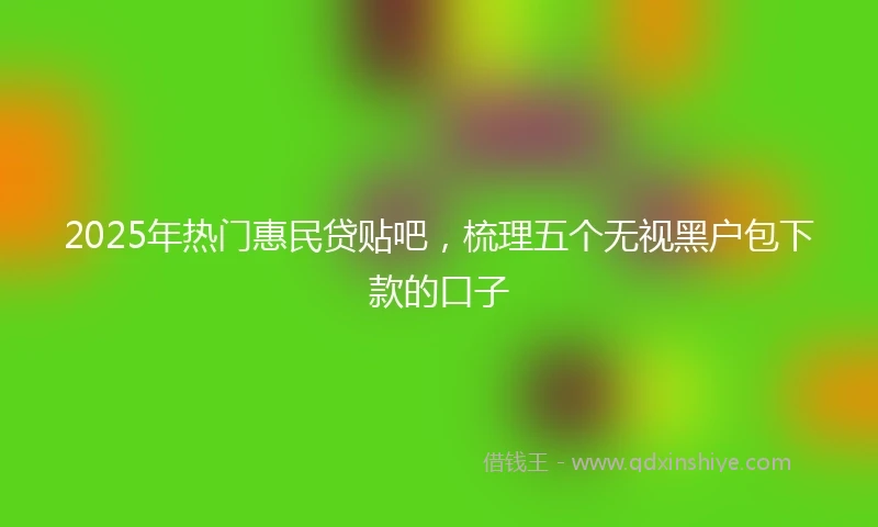 2025年热门惠民贷贴吧，梳理五个无视黑户包下款的口子