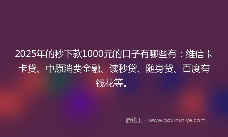 2025年的秒下款1000元的口子有哪些有:维信卡卡贷、中原消费金融、读秒贷、随身贷、百度有钱花等。