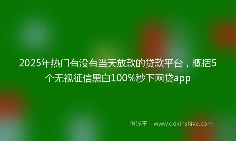 2025年热门有没有当天放款的贷款平台，概括5个无视征信黑白100%秒下网贷app