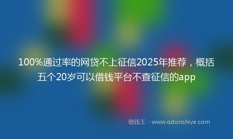 100%通过率的网贷不上征信2025年推荐，概括五个20岁可以借钱平台不查征信的app