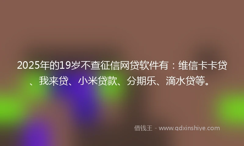 2025年的19岁不查征信网贷软件有：维信卡卡贷、我来贷、小米贷款、分期乐、滴水贷等。