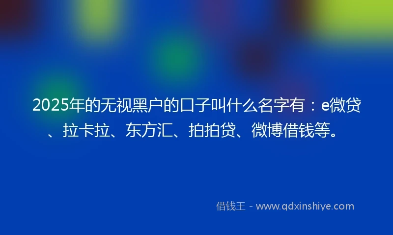 2025年的无视黑户的口子叫什么名字有：e微贷、拉卡拉、东方汇、拍拍贷、微博借钱等。