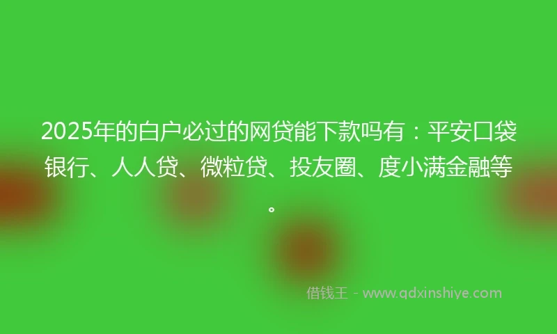 2025年的白户必过的网贷能下款吗有：平安口袋银行、人人贷、微粒贷、投友圈、度小满金融等。