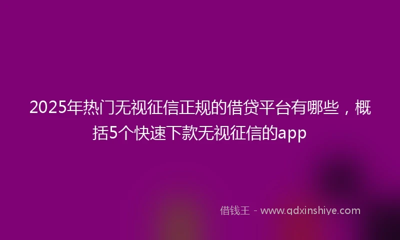 2025年热门无视征信正规的借贷平台有哪些，概括5个快速下款无视征信的app