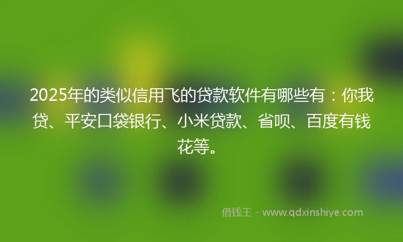 2025年的类似信用飞的贷款软件有哪些有：你我贷、平安口袋银行、小米贷款、省呗、百度有钱花等。