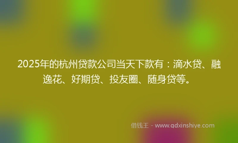2025年的杭州贷款公司当天下款有：滴水贷、融逸花、好期贷、投友圈、随身贷等。