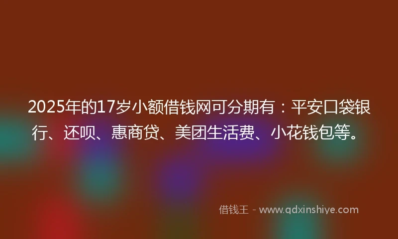 2025年的17岁小额借钱网可分期有：平安口袋银行、还呗、惠商贷、美团生活费、小花钱包等。
