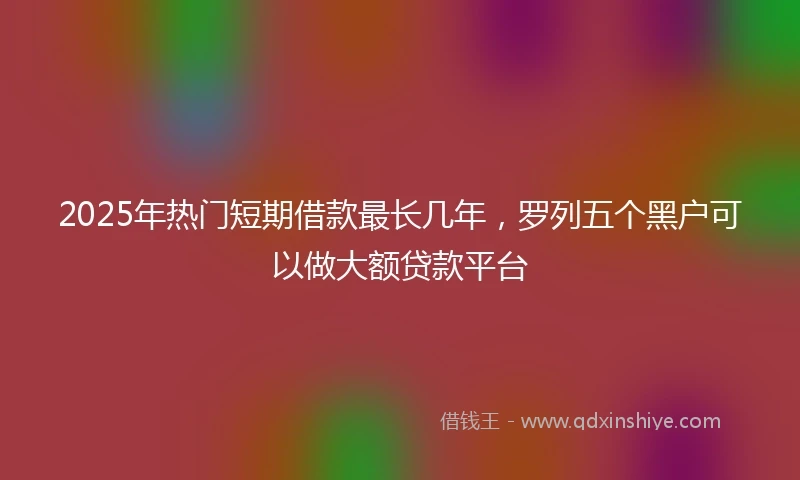 2025年热门短期借款最长几年，罗列五个黑户可以做大额贷款平台