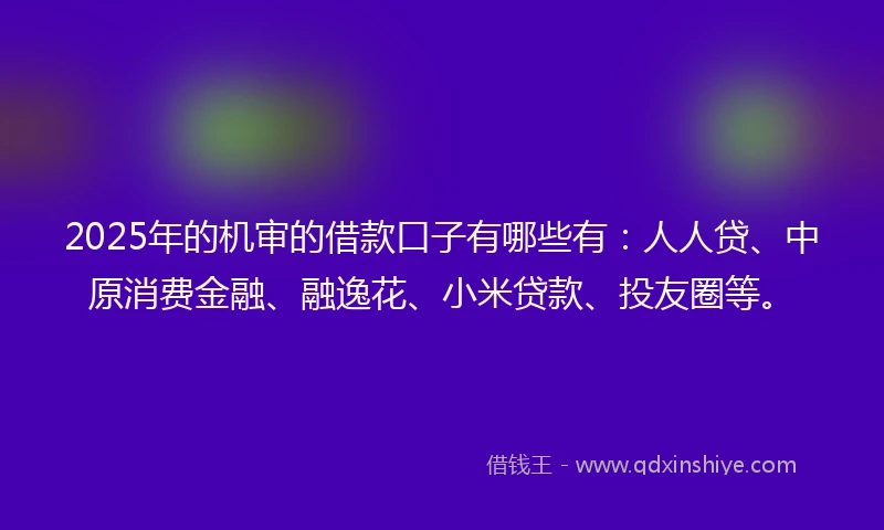 2025年的机审的借款口子有哪些有：人人贷、中原消费金融、融逸花、小米贷款、投友圈等。