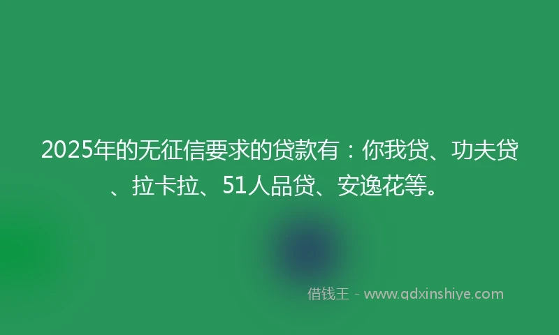 2025年的无征信要求的贷款有：你我贷、功夫贷、拉卡拉、51人品贷、安逸花等。