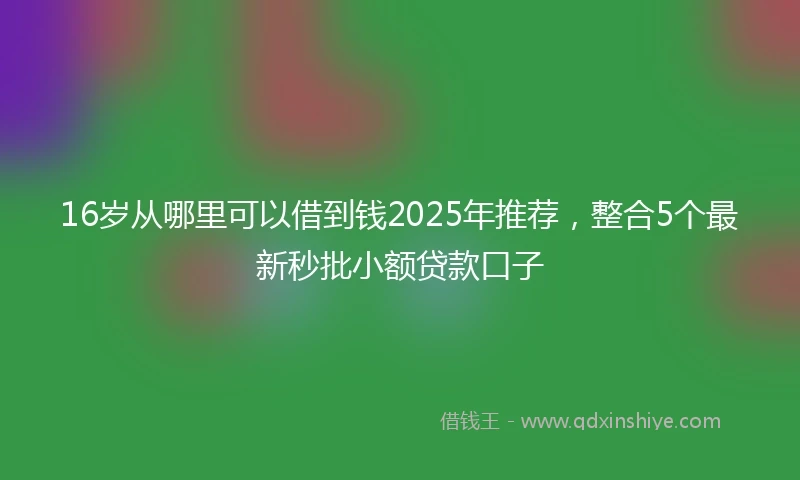 16岁从哪里可以借到钱2025年推荐，整合5个最新秒批小额贷款口子