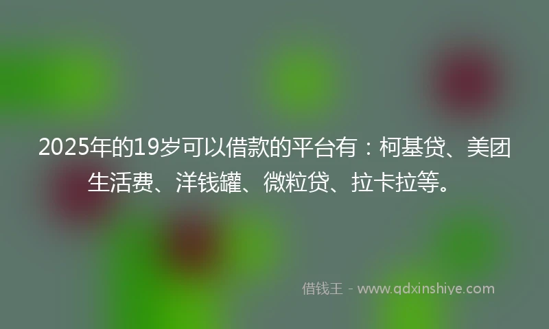 2025年的19岁可以借款的平台有：柯基贷、美团生活费、洋钱罐、微粒贷、拉卡拉等。