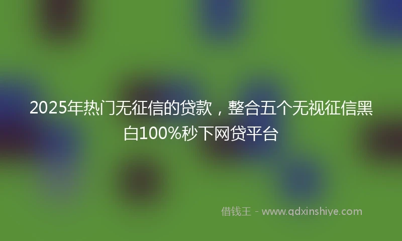 2025年热门无征信的贷款，整合五个无视征信黑白100%秒下网贷平台