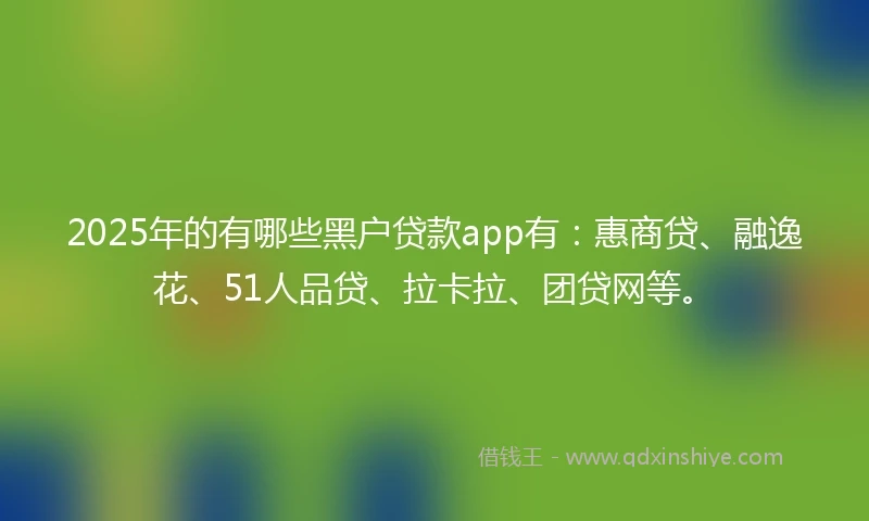 2025年的有哪些黑户贷款app有：惠商贷、融逸花、51人品贷、拉卡拉、团贷网等。