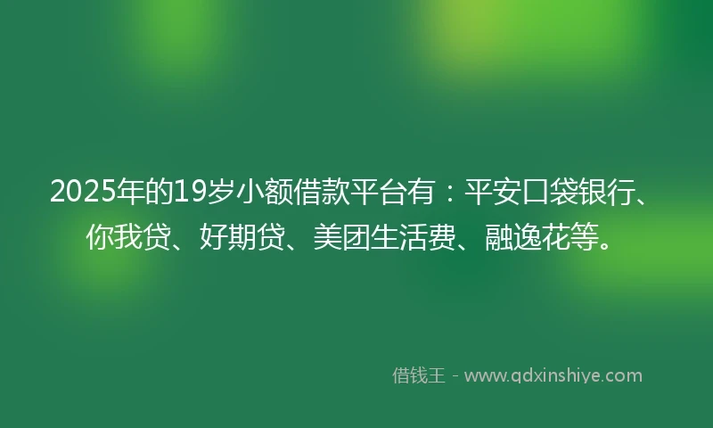 2025年的19岁小额借款平台有：平安口袋银行、你我贷、好期贷、美团生活费、融逸花等。