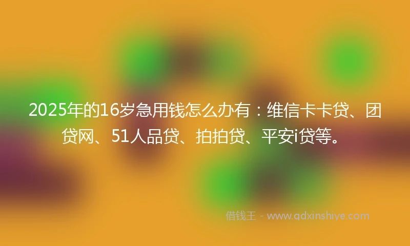 2025年的16岁急用钱怎么办有：维信卡卡贷、团贷网、51人品贷、拍拍贷、平安i贷等。
